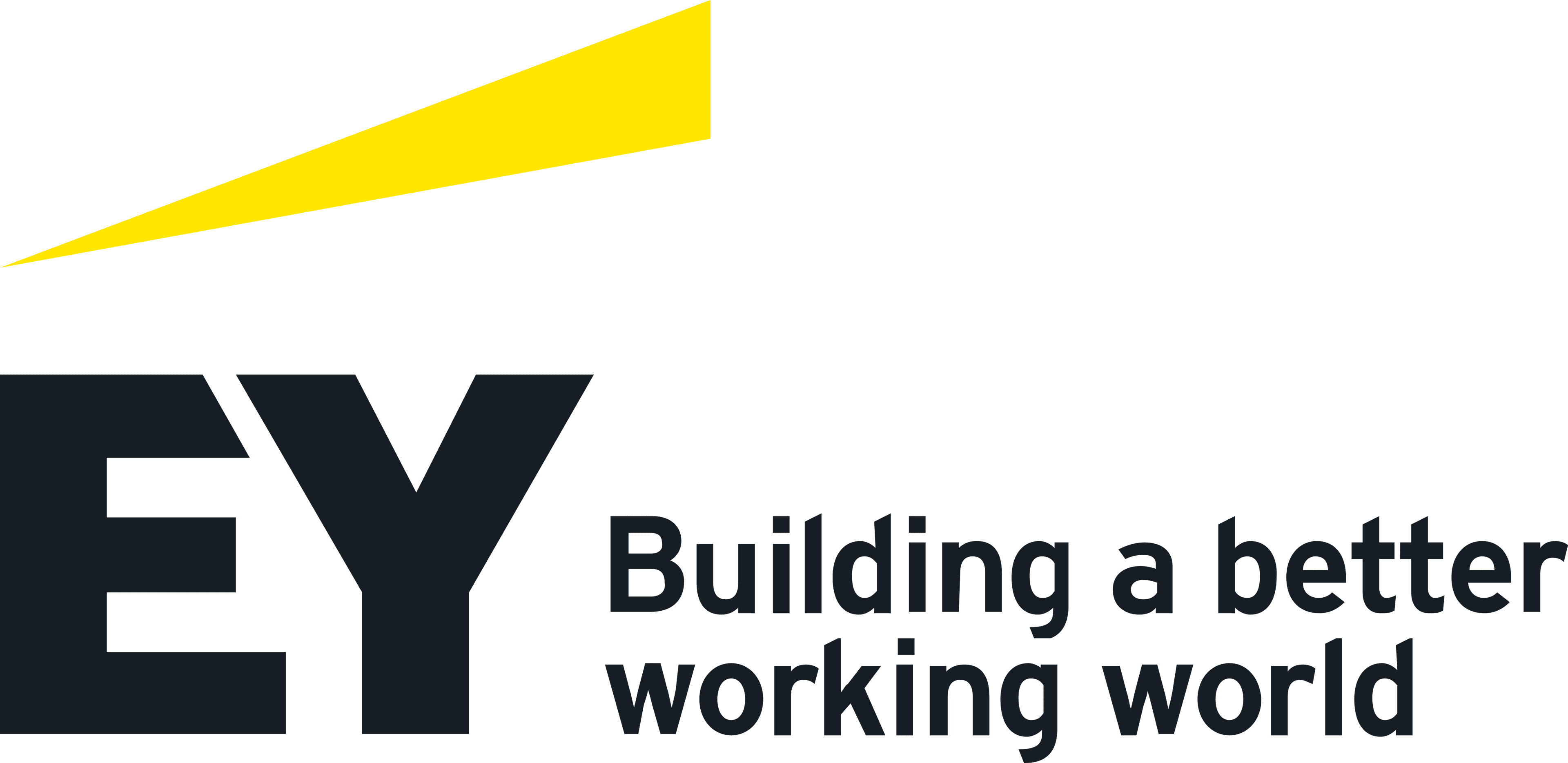 Logo da Ernest Young